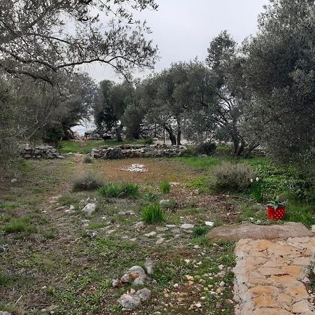 Robinzon House Pia Βίλα Banj Εξωτερικό φωτογραφία