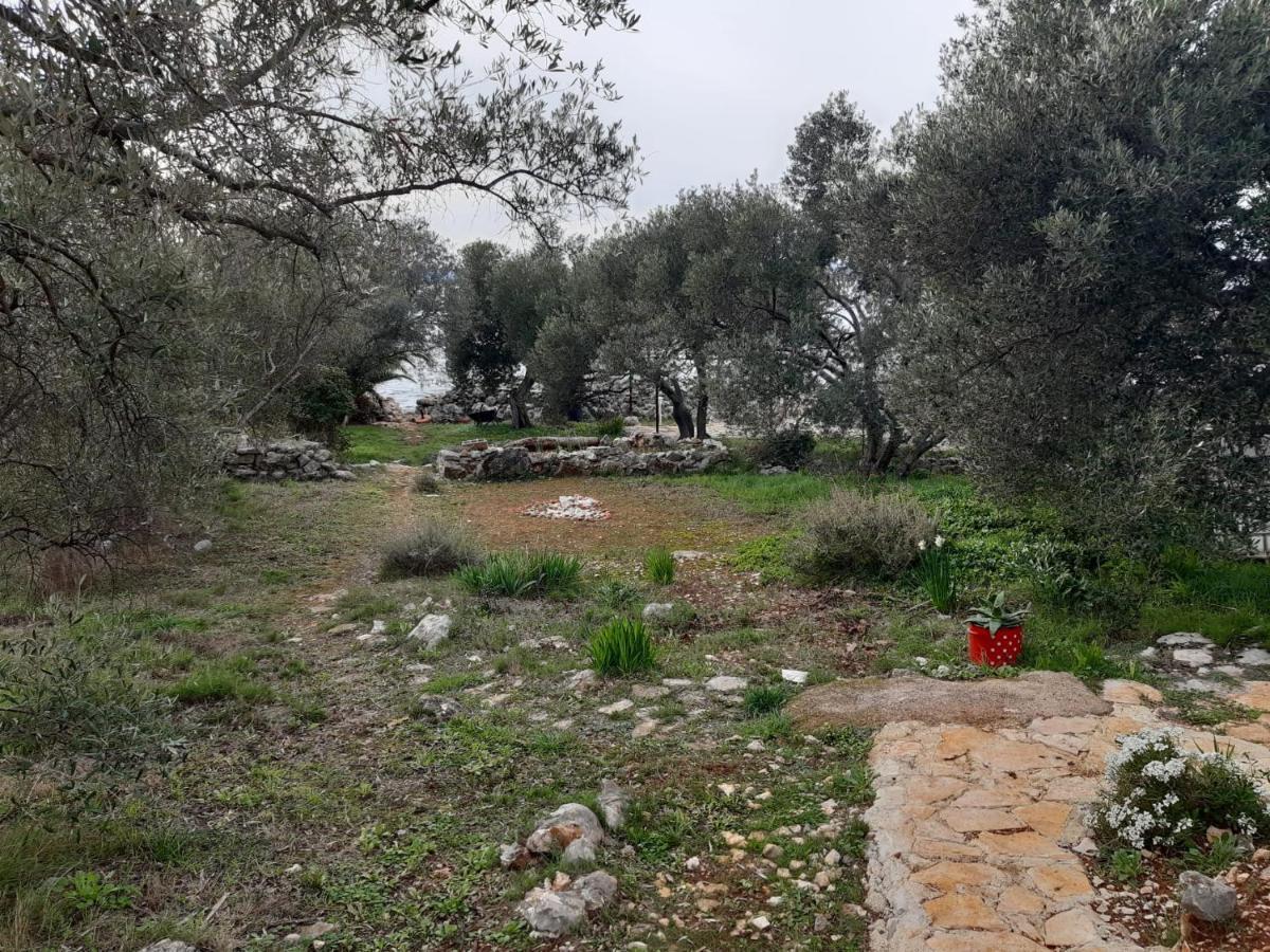 Robinzon House Pia Βίλα Banj Εξωτερικό φωτογραφία