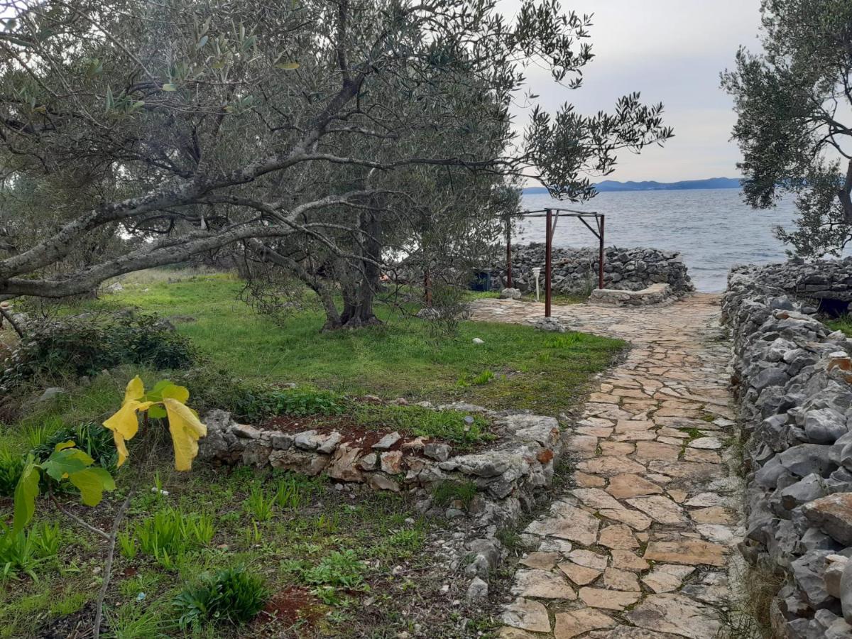 Robinzon House Pia Βίλα Banj Εξωτερικό φωτογραφία